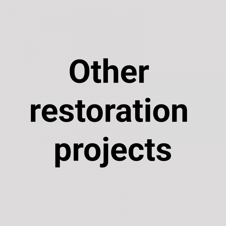 Fratelli Navarra, other restoration projects